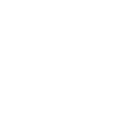 Codex / GPT